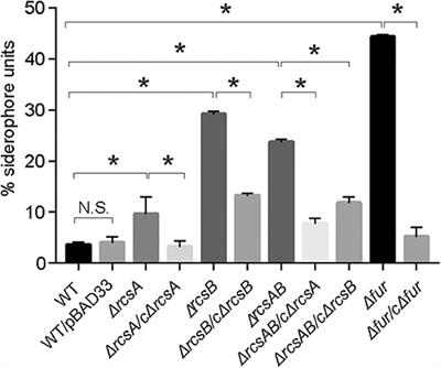 RcsAB and Fur Coregulate the Iron-Acquisition System via entC in Klebsiella pneumoniae NTUH-K2044 in Response to Iron Availability